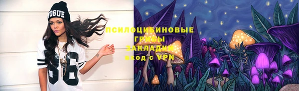 сатива Аркадак
