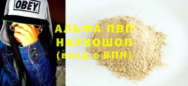 сатива Аркадак